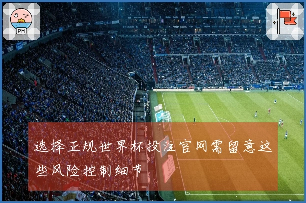 选择正规世界杯投注官网需留意这些风险控制细节