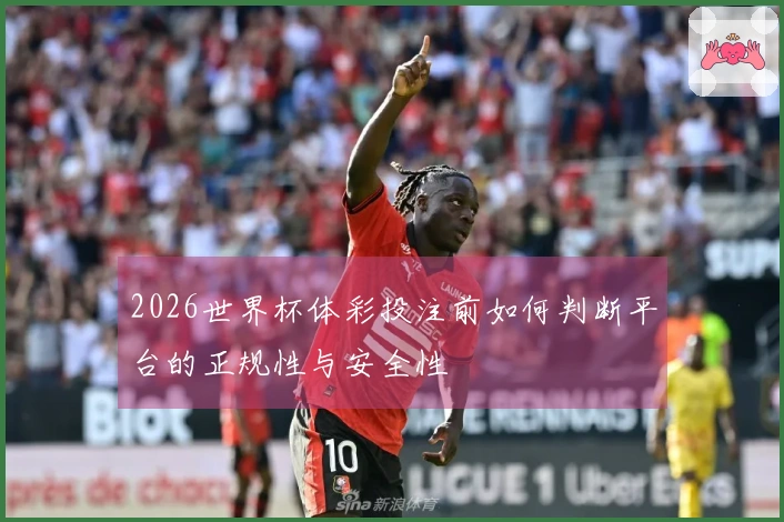 2026世界杯体彩投注前如何判断平台的正规性与安全性